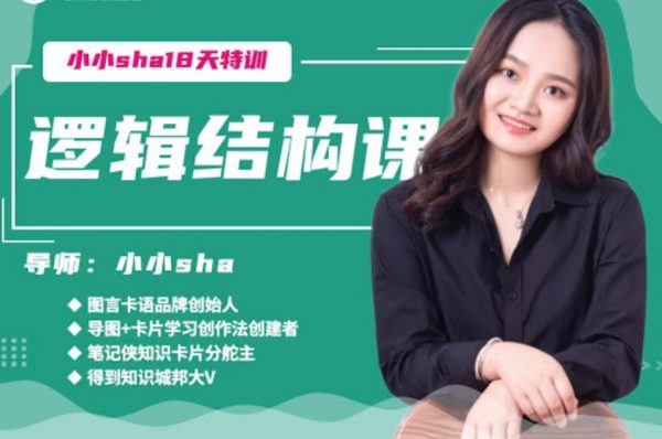 小小sha18的天逻辑结构课(完整版)，提升逻辑思考及表达能力 价值599元