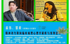 薛伟邹政精神动力取向临床病理心理学解析与案例督导