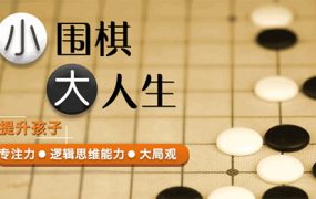 《凯叔围棋课》0基础少儿围棋启蒙课+进阶课