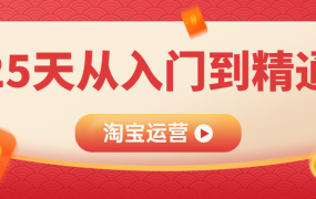 淘宝运营25天从入门到精通