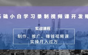 实操月入过万的网课制作、推广、赚钱，0基础学习录制视频课赚钱