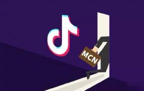 参哥出品：抖音MCN孵化课程