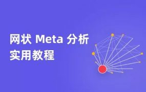 网状Meta分析实用教程