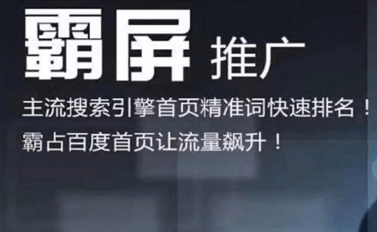 老船长百度霸屏引流课：利用精准关键词使得百度排名快速提升
