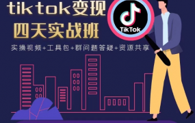 tiktok变现四天实战班：连怼技术+矩阵玩法赚美金价值998元(实操视频)