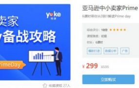跨境电商实操教程：亚马逊中小卖家Prime day备战攻略 价值299元