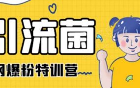 引流菌：全网爆粉特训营 (抖音+知乎+公众号+贴吧)