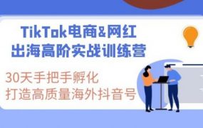 Tiktok跨境带货教程：打造高质量国际版抖音账号视频教程