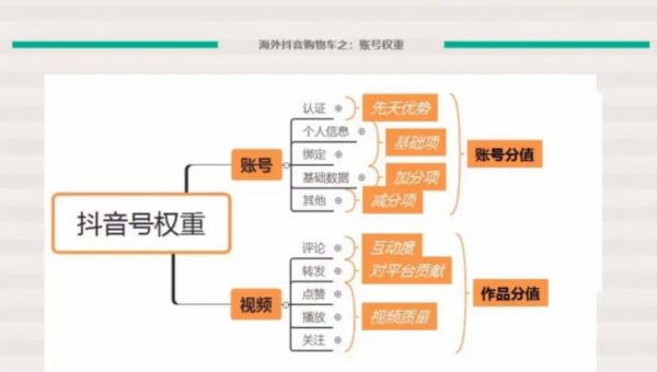 Tiktok跨境带货教程：打造高质量国际版抖音账号视频教程-2