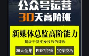 晋升新媒体营销：公众号运营·30天高阶班(完整版下载)