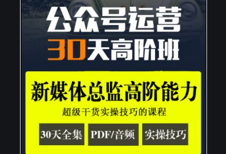 晋升新媒体营销：公众号运营·30天高阶班(完整版下载)-1