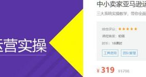 中小卖家亚马逊运营实操，选品·试营·团队管理