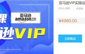 跨境电商Amazon运营零基础到高阶培训：亚马逊VIP系统实操精品课程 价值4980元
