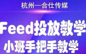 抖音系列合仕传媒Feed投放教学，手把手教学，开车烧钱必须自己会