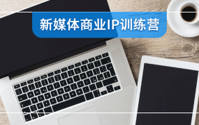 新媒体商业IP训练营