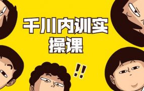 数据哥·千川内训实操课，轻松获取流量，直播带货变现
