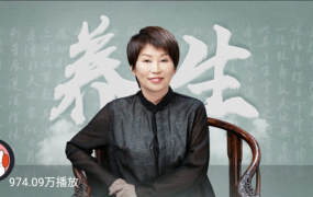 不生病的智慧:曲黎敏精讲《黄帝内经》《伤寒杂病论》