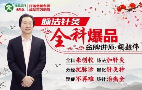 胡超伟第四季针灸思维经典针法保胎低血压耳鸣过敏性鼻炎偏瘫尿失禁类风湿