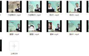 王涛中医面诊基础13集望诊色诊眼诊望眉六经面诊