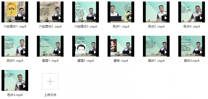 王涛中医面诊基础13集望诊色诊眼诊望眉六经面诊-1 王涛中医面诊基础13集望诊色诊眼诊望眉六经面诊-1