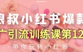 狼叔小红书爆款推广引流训练课第12期，手把手带你玩转小红书