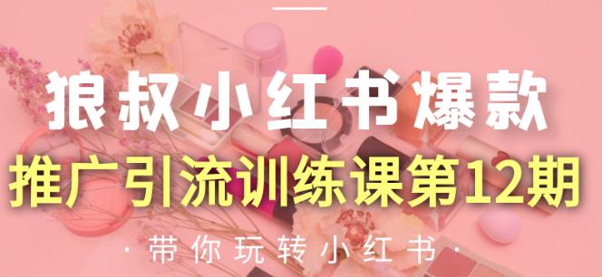 狼叔小红书爆款推广引流训练课第12期,手把手带你玩转小红书-1 狼叔小红书爆款推广引流训练课第12期,手把手带你玩转小红书-1