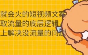 只说话就会火的短视频文案课，从根本上解决没流量的问题