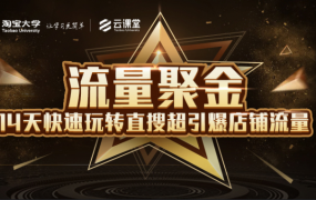 淘宝大学：流量聚金14天快速玩转直搜，超引爆店铺流量，价值8800元