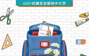 《大马化学氢起点班》60小时搞定全部初中化学