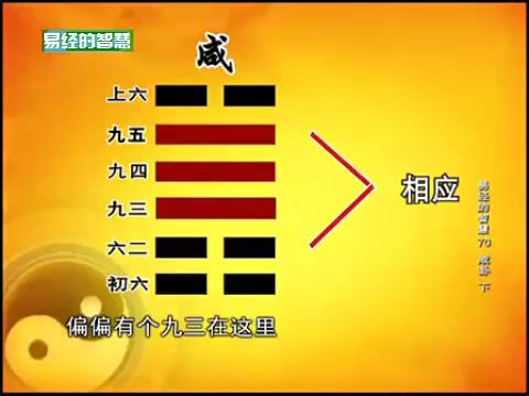 曾仕强：易经的智慧，114节完整版21G 价值299元-3