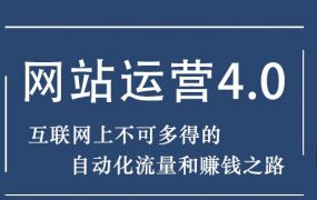 暴疯团队网站赚钱项目4.0:网站运营与盈利，实现流量与盈利自动化的赚钱之路