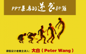 PPT菜鸟的逆袭秘籍视频课