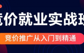 厚昌学院郝明亮竞价实战就业班（七期八期）