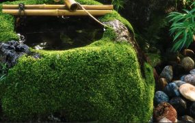 3dsMax写实场景制作案例教学【画质超清】