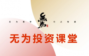 无为投资课堂《职业投资者训练营》36 集视频