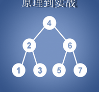 数据结构精讲：从原理到实战