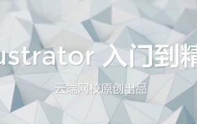 云端网校-AI illustrator 入门到精通教程视频
