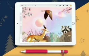 CCtalk-第三期田小壮的博物艺术之旅，田小壮 iPad 插画课