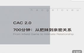 CAC2.0《700 分钟从把妹到长期关系》