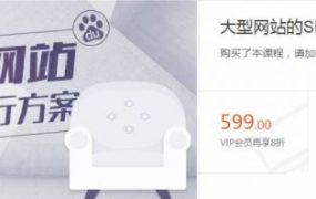 Zero大型网站的SEO流量提升方案，SEOWhy搜外网站优化视频培训 价值599元