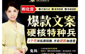 兔妈『爆款文案硬核特种兵孵化营』（超硬核）