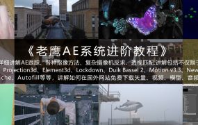 老鹰AE系统进阶教程2021年【画质高清有素材】