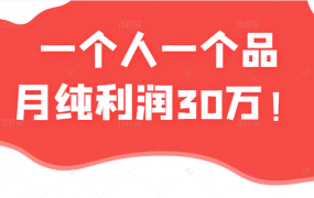 某公众号付费文章：一个人一个品月纯利润30万的蓝海电商经典案例！