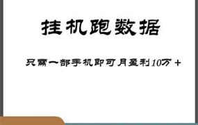 猎人电商:挂机数跑‬据，只需一部手即机‬可月盈利10万＋（内玩部‬法）价值4988元