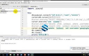 Python3从菜鸟到放弃 700多集视频教程实战Python3 透彻分析Python技术难点