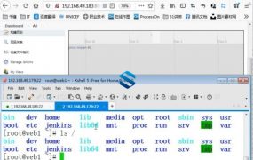 CICD-jenkins构建持续化集成平台+Git构建分布式版本控制器教程 附带课程笔记