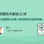 荒川大数据技术基础 22 讲，直击大数据核心价值，抓住智能时代掘金利器