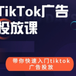 跨境B哥tiktok广告投放课价值1680元