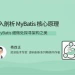 深入剖析 MyBatis 核心原理，从 MyBatis 细微处探寻架构之美