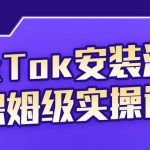 疯人院TikTok安装注册保姆级实操课,，tiktok账号注册0失败，提高你的账号运营段位